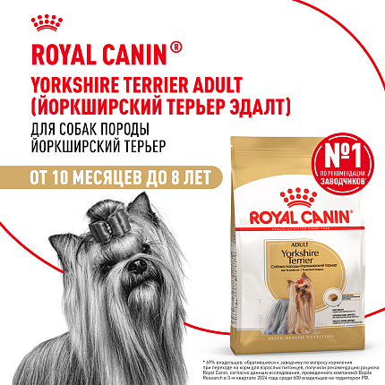 Royal Canin Yorkshire Terrier Adult Корм сухой для взрослых собак породы Йоркширский Терьер от 10 месяцев, 3 кг